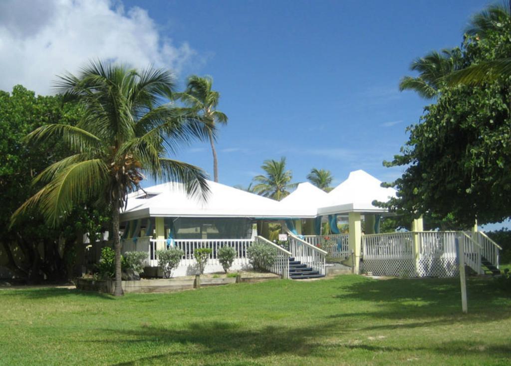 Tamarind Reef Resort Spa & Marina Christiansted Exterior foto
