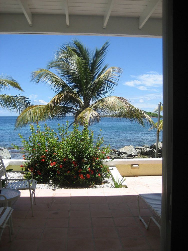 Tamarind Reef Resort Spa & Marina Christiansted Exterior foto